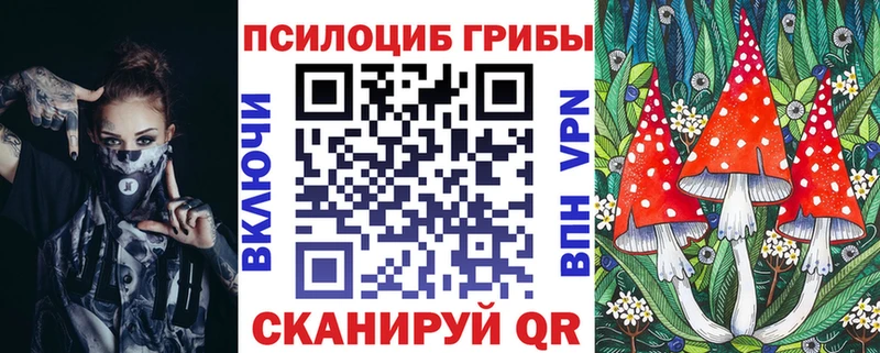 Галлюциногенные грибы ЛСД  купить закладку  blacksprut как зайти  Чебоксары 